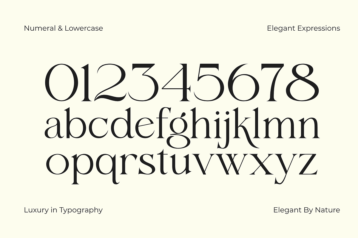 Elqati – Elegant Modern Serif Font, a Serif Font by MaikoHatta (Photo 4 of 8)