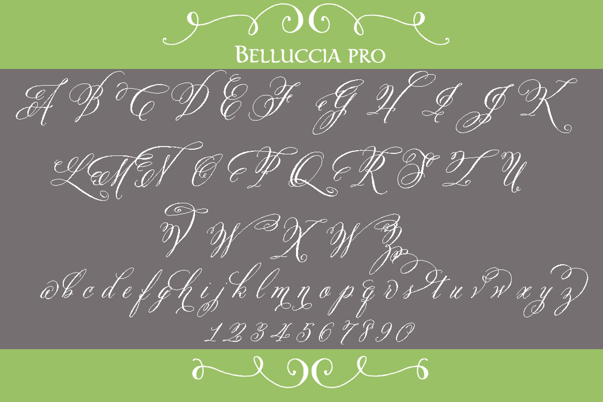 Belluccia Pro Font preview 2