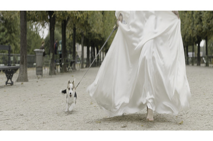 Wedding photography with your, a Person Photo by Media Whale Stock