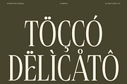 CS Brings – Elegant Serif Font, a Serif Font by Craft Supply Co. (Thumbnail 7 of 8)