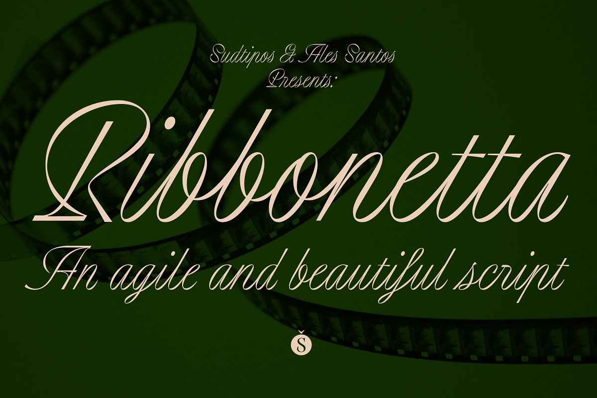Ribbonetta, a Script Font by Sudtipos (Photo 1 of 6)