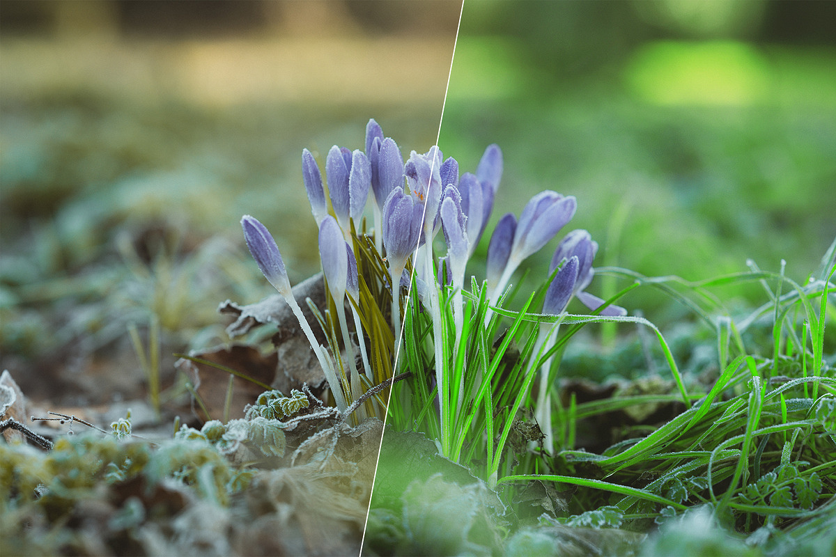Spring Photoshop Actions, an Action Add-On by Bato (Photo 14 of 16)