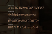 Rosemeu – Modern Aesthetic Serif, a Serif Font by Vadovastd (Thumbnail 7 of 7)