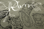 Hand drawn Ram, an Animal Illustration by ArtOwl (Thumbnail 1 of 5)
