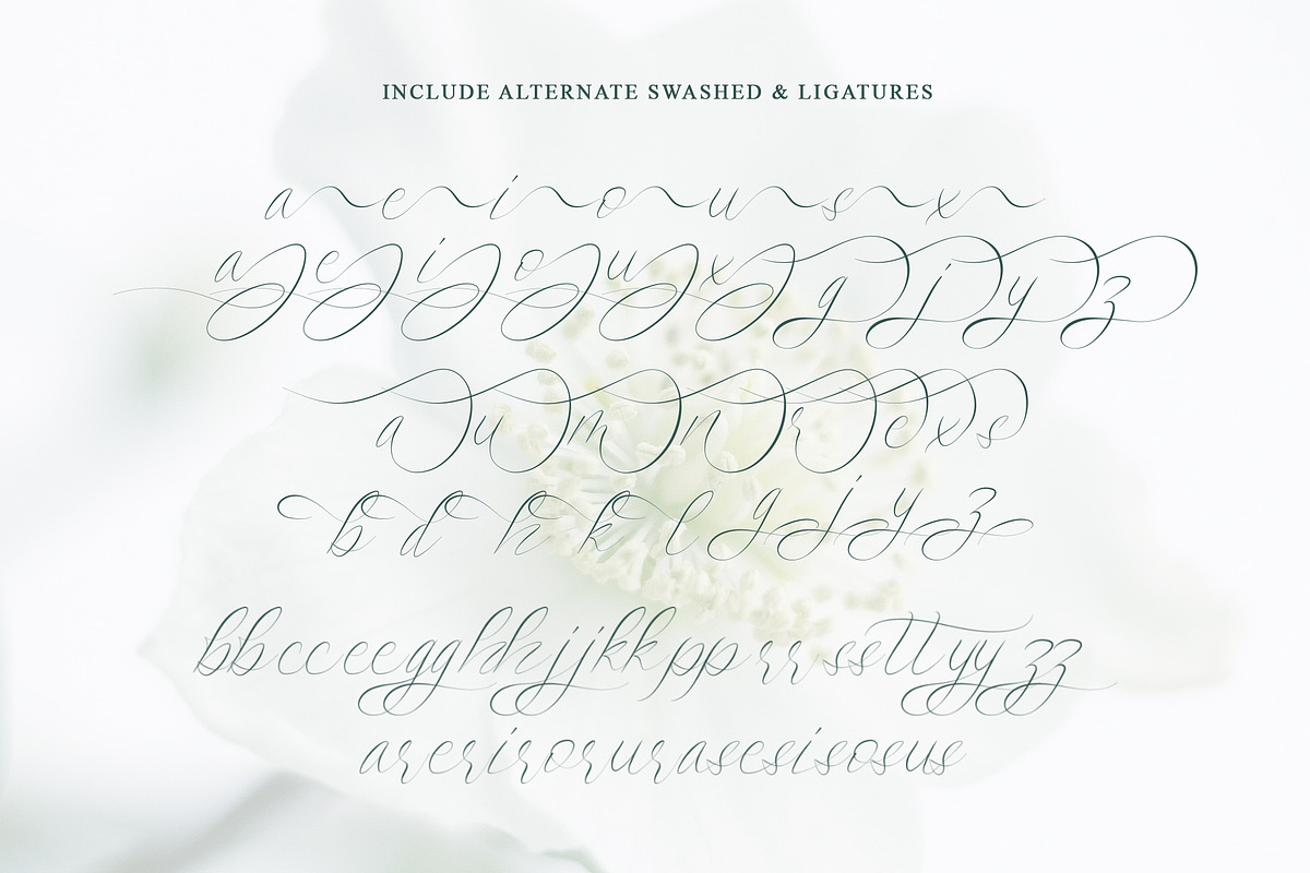 Saint Flow - Beauty handwritten, a Script Font by Brightone (Photo 5 of 9)