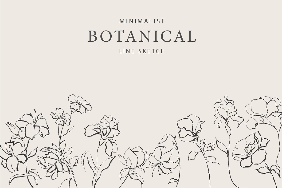 Minimalist Botanical Line Sketches, an Illustration by MYDesign (Photo 6 of 6)