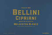 Rue Du Cremeux, a Slab Serif Font by Komet & Flicker (Thumbnail 5 of 13)