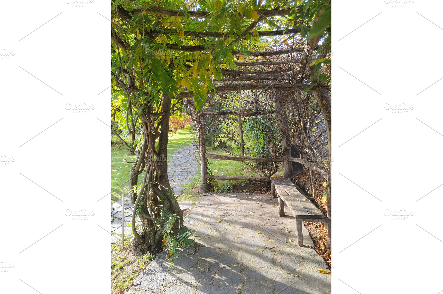 A shaded autumn garden path leads, a Nature Photo by Lermont51