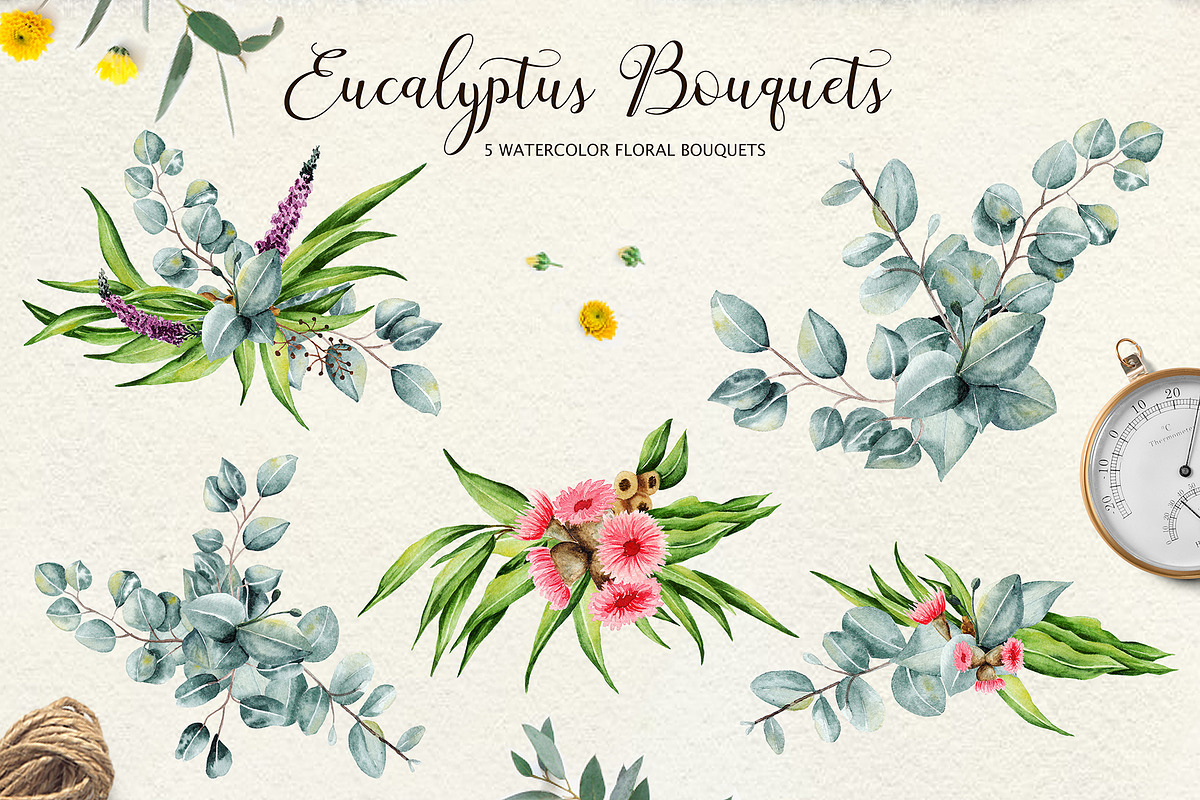 Eucalyptus Collection+Letter, a Decorative Illustration by Astarte_design (Photo 4 of 11)