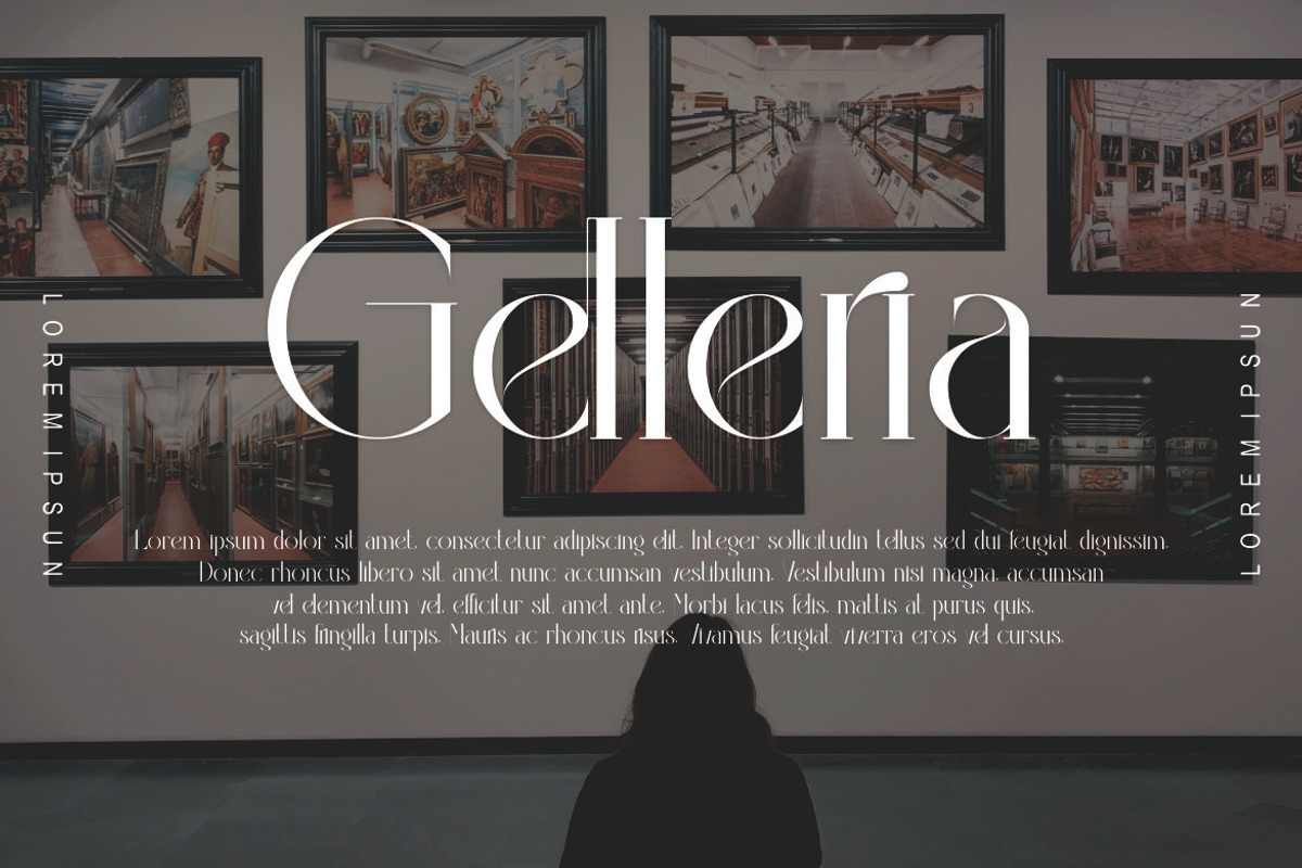 Violina, a Serif Font by Kenrichi (Photo 10 of 10)