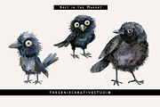 Fluffy Crow PNG Clipart Set, an Animal Illustration by Geniecreativestudio (Thumbnail 5 of 9)