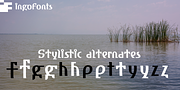 Amhara, a Sans Serif Font by ingoFonts (Thumbnail 7 of 10)