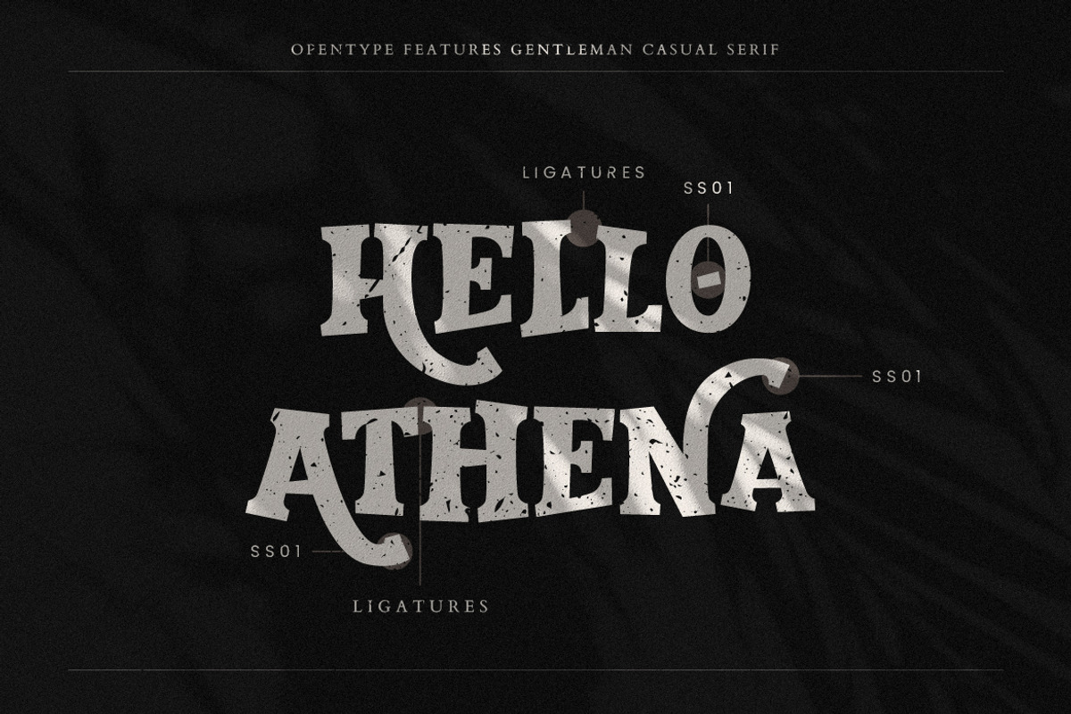 Gentleman Serif Business Font, a Serif Font by Creatype Studio (Photo 3 of 9)