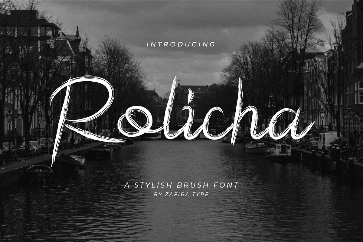 Rolicha, a Handwritten Font by Zafiratype (Photo 1 of 12)