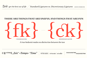 Zeit Serif Family, a Serif Font by Fenotype (Thumbnail 10 of 12)