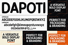 Dapoti - Modern Elegant Serif Ty