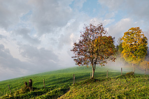 Peaceful misty autumn morning mountain view from hiking path fro, a Nature Photo by YuriyB