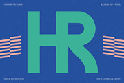 FlyBridge - Bold Ligature Rich Sans, a Sans Serif Font by SilverStag Type Foundry (Thumbnail 9 of 30)