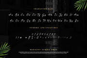 Bogani Gottan, a Font by BumbleGraph Studio (Thumbnail 6 of 10)