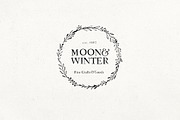 Apothecary Serif, a Serif Font by Nicky Laatz (Thumbnail 3 of 11)