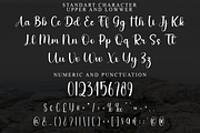 Feminine, a Handwritten Font by FreshTypeINK (Thumbnail 3 of 8)