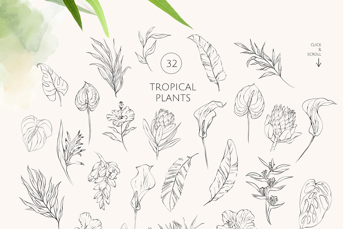 Charming forest - BUNDLE 4 in 1, a Decorative Illustration by Yuliia Lashevska (Photo 19 of 26)