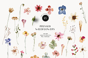 Meadow watercolor dried wildflowers, a Decorative Illustration by Grace Noboa Illustrations (Thumbnail 9 of 13)