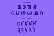 Vlakshore Decorative Display Font, a Sans Serif Font by MACK 75 (Thumbnail 8 of 10)