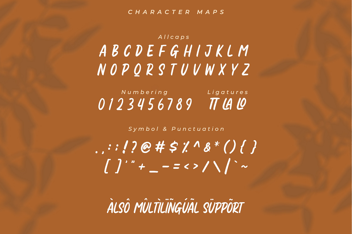 Sarcaland Brusher, a Script Font by Ditatype (Photo 6 of 6)
