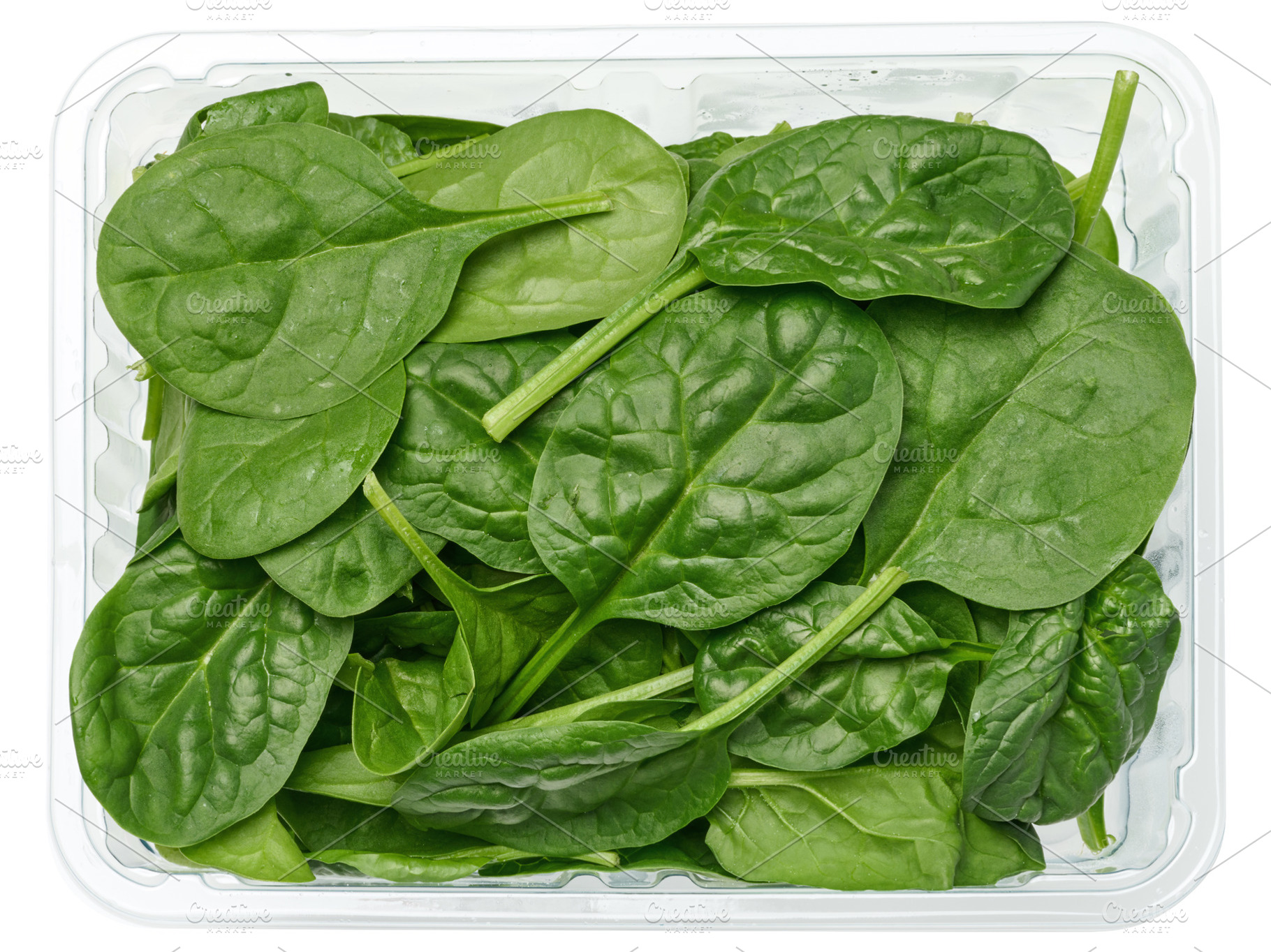 Bunch of fresh green spinach leaf in plastic box, a Food & Drink Photo by ndanko