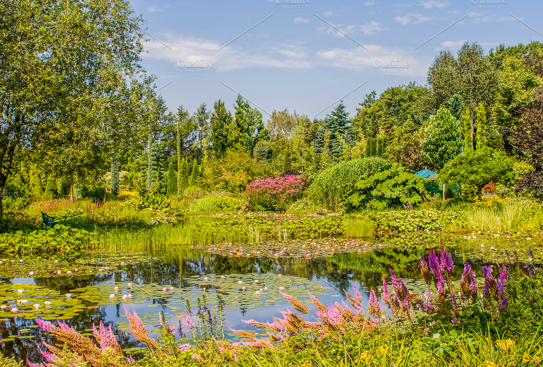 Beautiful Garden Featuring Garden Plants And Yards