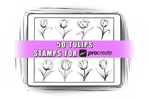 50 Tulips Procreate Stamps Brushes