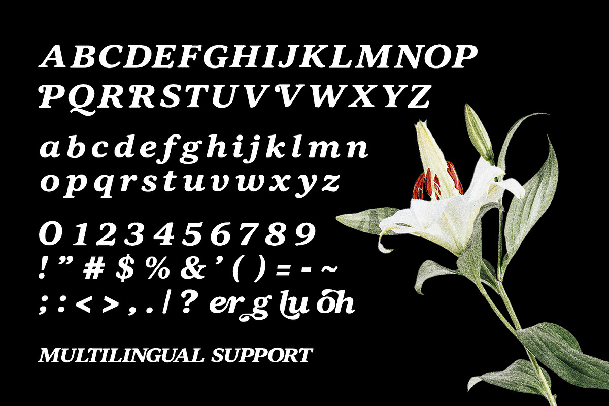 Pagoh Cluser Elegant Italic Serif, a Serif Font by Maulana Creative (Photo 6 of 7)