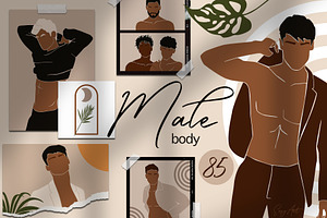 Male body collection