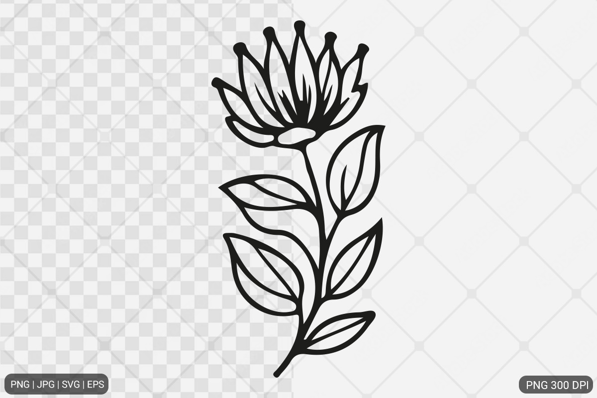 Floral Design SVG PNG Bundle, an Illustration by Actual Pixel (Photo 4 of 22)
