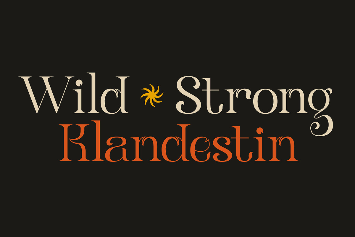 Klandestin Modern & Classical Serif, a Serif Font by Lettertype Studio (Photo 2 of 20)