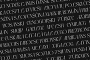 Airox Luxury Editorial Serif Font, a Serif Font by Only Fonts (Thumbnail 11 of 12)