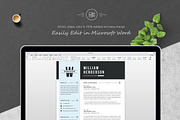 Professional Resume Template, a Resume Template by ResumeInventor (Thumbnail 5 of 6)