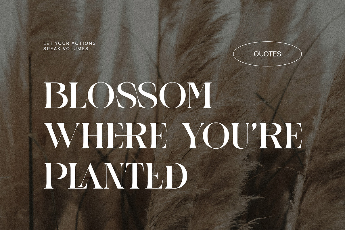 Onnier Elegant Ligature Serif Font T, a Serif Font by Perfectype (Photo 5 of 6)