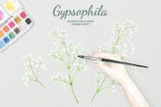 Watercolor Gypsophila Baby's Breath, an Illustration by Corner Croft (Thumbnail 6 of 7)