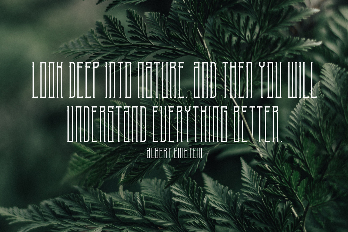 NoiseStorm Font Duo preview 2