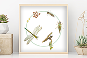 Big Life Cycle Bundle, an Education Illustration by Tati Bordiu (Thumbnail 25 of 43)