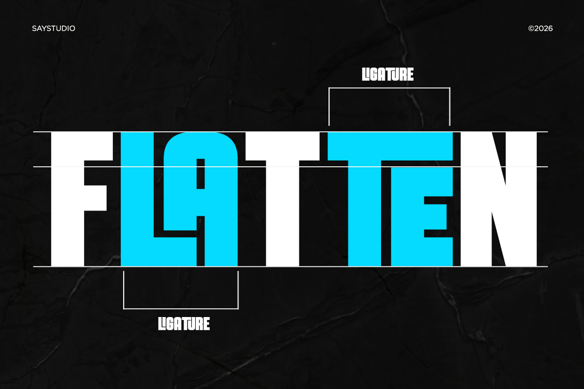 Bolaro - Condensed Display Font, a Sans Serif Font by Say Studio (Photo 17 of 17)