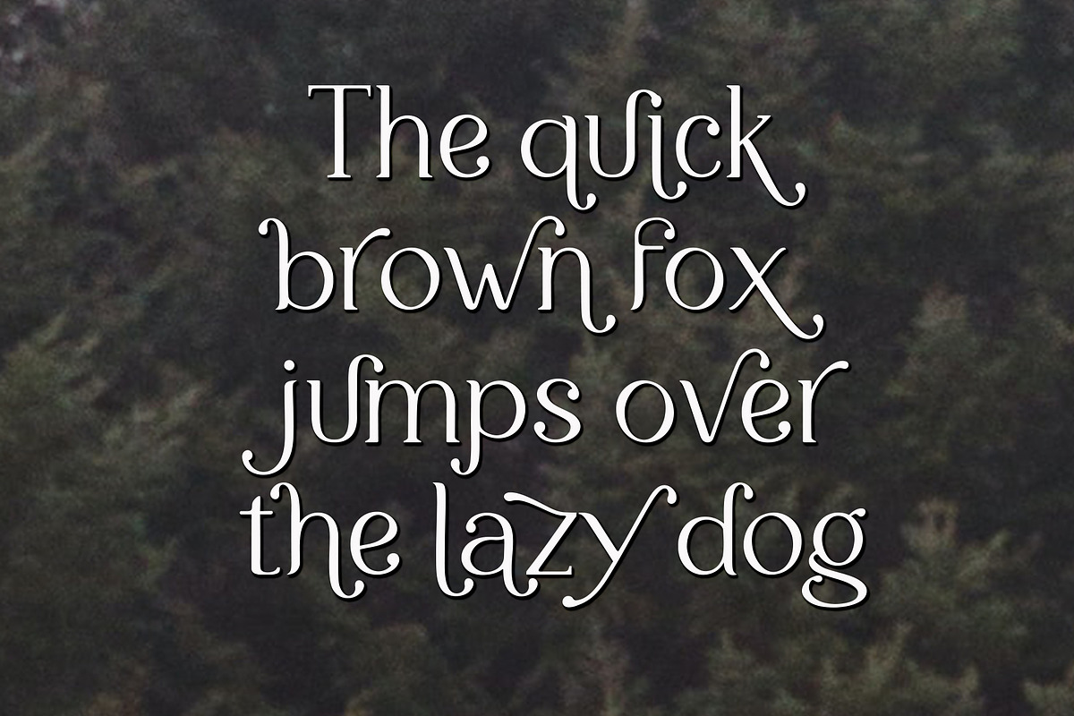 Caesur, a Serif Font by Sulthan Studio (Photo 6 of 7)