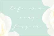 Joleni Modern Calligraphy font, a Script Font by By Lef (Thumbnail 6 of 11)