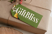 Qastife Elegant Display Serif, a Serif Font by timelesstype.co (Thumbnail 17 of 20)