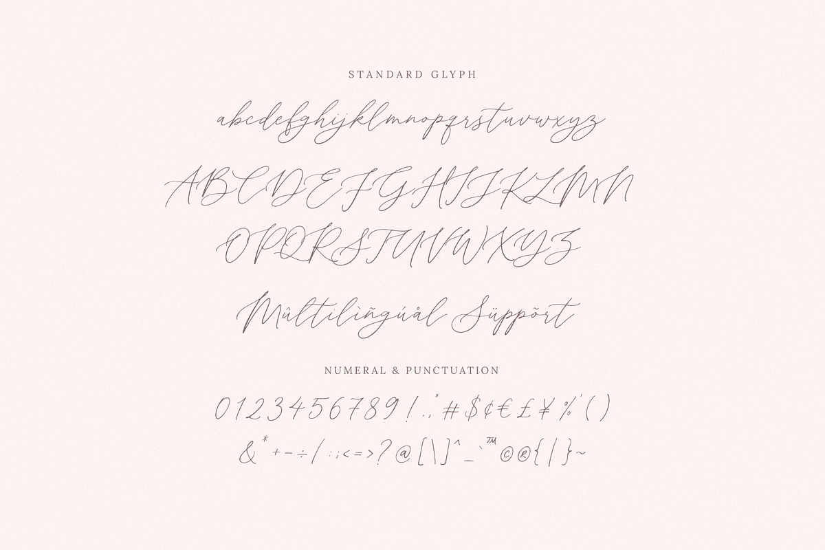 Central Garden Calligraphy Font, a Script Font by Seagulls Creative (Photo 9 of 10)