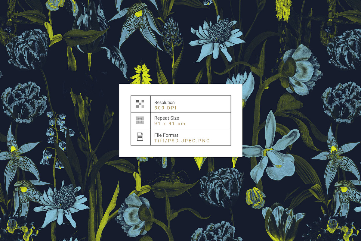 Nocturne luxury Prints & Motifs, a Pattern Graphic by TSTUDIO (Photo 2 of 10)