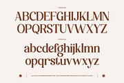 Caliten – Modern Inktrap Serif, a Serif Font by Mahesans Co (Thumbnail 9 of 10)