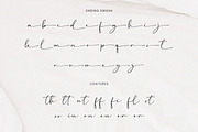 Southerns - Handwritten Script Font, a Script Font by Flawless And Co (Thumbnail 10 of 10)